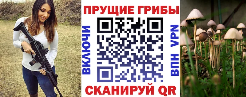 Галлюциногенные грибы MAGIC MUSHROOMS  Георгиевск 