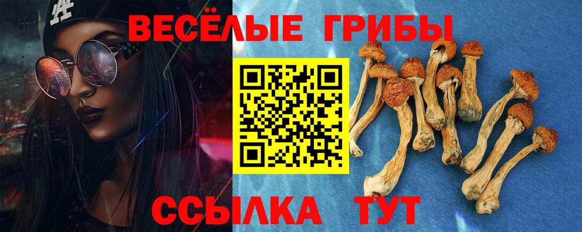 Псилоцибиновые грибы MAGIC MUSHROOMS Георгиевск