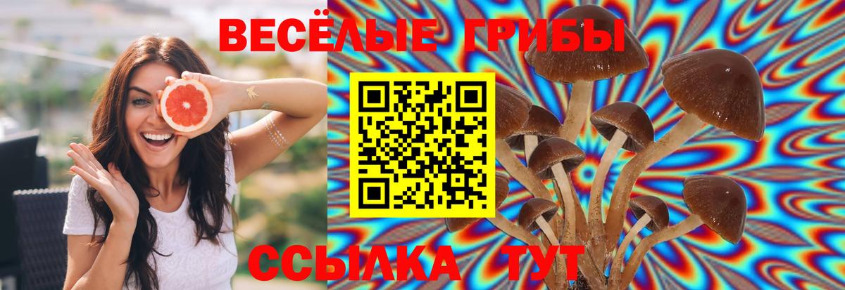 Галлюциногенные грибы мухоморы  как найти наркотики  Георгиевск  Вход с VPN 